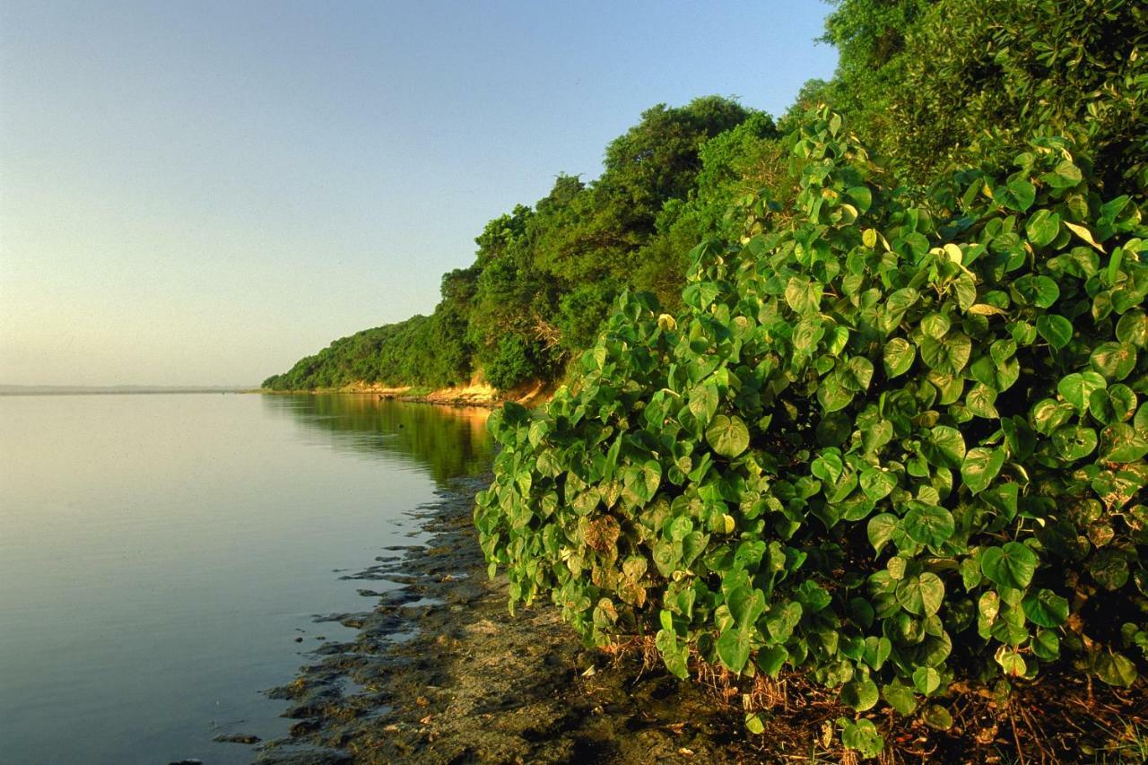 4 The Bridge Apartamento Saint Lucia Estuary Exterior foto